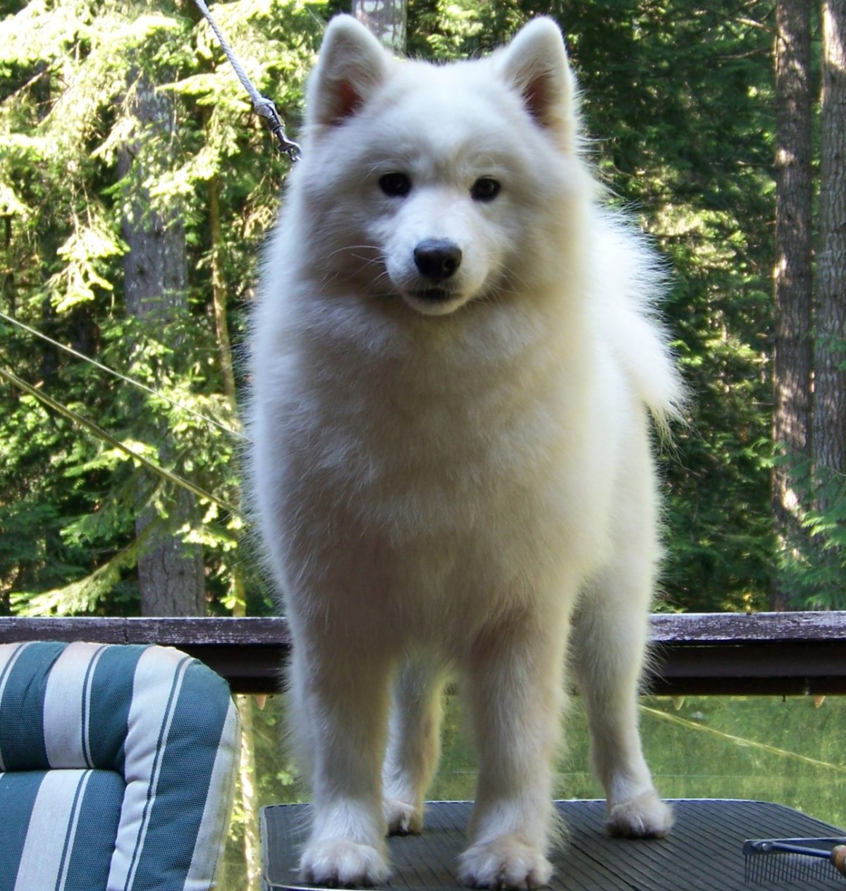 Natasha aged 2 years